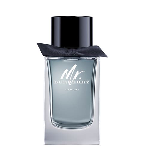 mr. burberry 100 ml